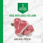 Instinct Grain Free Dry Dog Food with Lamb