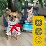 Nutram T28 Grain-Free High Protein Dog Food