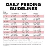 GO! SOLUTIONS Salmon Limited Ingredient Dog Food 22 lb