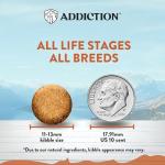 Addiction Wild Kangaroo & Apples Grain-Free Dog Food