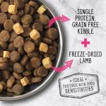 Nutrience Grain Free Dog Food with Lamb & Pumpkin