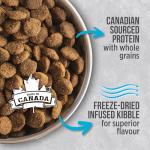 Nutrience Infusion Dry Dog Food, Ocean Fish 10 kg