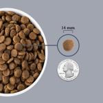 ACANA Grain-Free Light & Fit Dog Food, 13 lbs