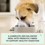 Open Farm Grain-Free Puppy Dry Dog Food 22lb