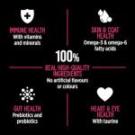 Nutrience Grain Free Dog Food with Lamb & Pumpkin