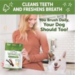 Whimzees Grain Free Dental Treats for Dogs