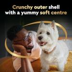 Cesar Bakies Crunchy Treats for Small Dogs 550g