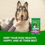 IAMS Proactive Health Dry Dog Food - Beef & Rice