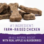 Caledon Farms Chicken Apple Blueberry Dog Biscuits