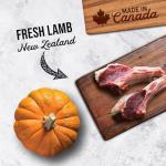 Nutrience Grain Free Dog Food with Lamb & Pumpkin