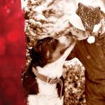 Caledon Farms Turkey & Cranberry Holiday Cookies