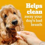 PEDIGREE Breathbuster Dog Treats with Eucalyptus and Parsley