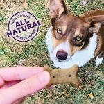 Old Mother Hubbard Bac'N'Cheez Dog Treats 20oz