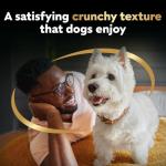 Cesar Bakies Crunchy Dog Treats for Small Breeds