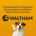 PEDIGREE Breathbuster Dog Treats with Eucalyptus and Parsley