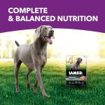 IAMS Advanced Health Dry Dog Food - Chicken & Salmon