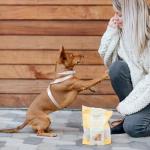 Rollover Crunchy Chicken Biscuits for Dogs - 300g