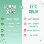 Natural Peanut Butter & Pumpkin Dog Treats