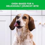 Open Farm Oven Baked Salmon & Oatmeal Dog Treats