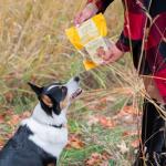 Rollover Crunchy Chicken Biscuits for Dogs - 300g