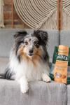 Crunchy Lamb and Pumpkin Dog Biscuits 250g