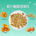 Natural Peanut Butter & Pumpkin Dog Treats