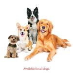 Milk-Bone Dog Training Biscuits Assorted Flavors