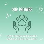 Natural Peanut Butter & Pumpkin Dog Treats