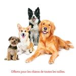 Milk-Bone Dog Training Biscuits Assorted Flavors