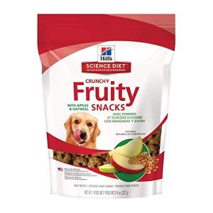 Hills Fruity Apple & Oatmeal Crunchy Dog Treats