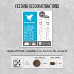 Nutrience Infusion Dry Dog Food, Ocean Fish 10 kg