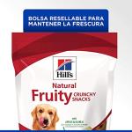 Hills Fruity Apple & Oatmeal Crunchy Dog Treats