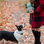 Rollover Crunchy Lamb Biscuits for Dogs - 300g