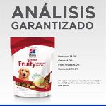 Hills Fruity Apple & Oatmeal Crunchy Dog Treats