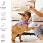 Three Dog Bakery Lick'n Crunch Vanilla Dog Cookies