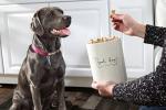 Good Dog Treat Jar - 4 Cup Ceramic Canister