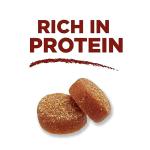 Purina ONE True Instinct Chicken Dog Treats