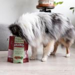 Beef and Spinach Crunchy Dog Biscuits 250g