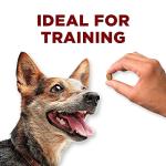 Purina ONE True Instinct Chicken Dog Treats