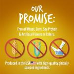 Fruitables Biggies Pumpkin & Peanut Butter Dog Biscuits