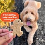 Cloud Star Peanut Butter Buddy Biscuits for Dogs