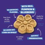 Pumpkin & Blueberry Crunchy Dog Biscuits, 16 oz