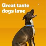 Pedigree Real Beef Flavor Dog Snacks 6 lbs