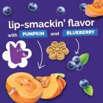 Pumpkin & Blueberry Crunchy Dog Biscuits, 16 oz