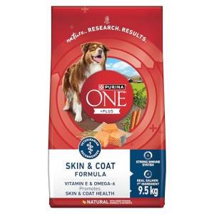 Purina ONE Dry Dog Food for Healthy Skin