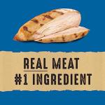 Nature's Recipe Chewy Bites Dog Treats 454g