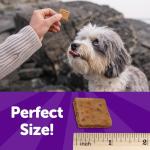 Wellness Soft & Chewy Grain-Free Dog Treats