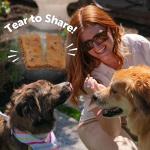 Wellness Soft & Chewy Grain-Free Dog Treats