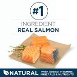 Purina ONE Dry Dog Food for Healthy Skin