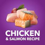 IAMS Advanced Health Dry Dog Food - Chicken & Salmon